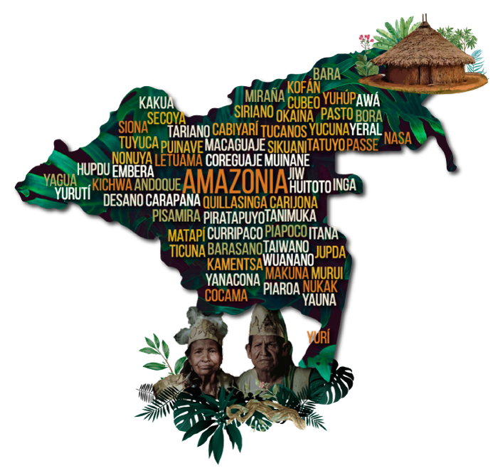 mapa amazonia